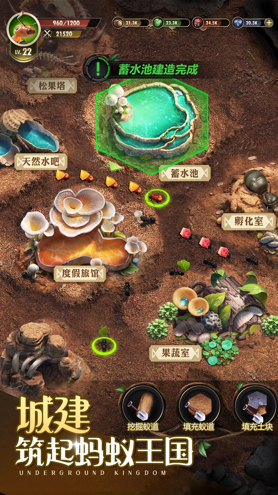 小小蚁国超全版本手游