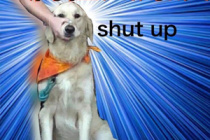 SM属性大爆发梗的来源和含义