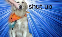 SM属性大爆发梗的来源和含义