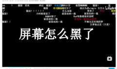 王者荣耀屏幕怎么黑了梗是什么意思