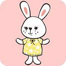 兔子直播纯净版