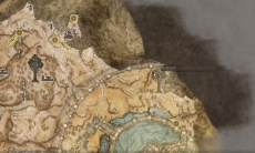 《艾尔登法环》细枝破露滴位置1