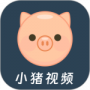 小猪视频小天堂