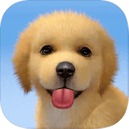 梦幻小狗国际服