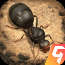 小小蚁国(送648元金甲蚁)