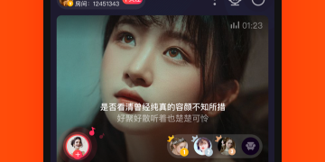 一对一语音连麦的APP