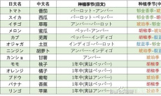 《牧场物语Welcome美丽人生》种子合成一览表0