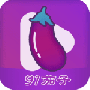 91茄子2023最新版