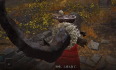 《艾尔登法环》艾尔登之王律法时代结局完成方法2