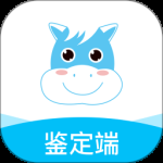 老马技能评定2024版