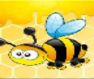 天天建造无限金币版