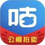 咕咕信鸽2024版