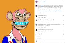 周杰伦无聊猿购买方法