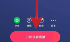 《快手》弹幕设置方法2