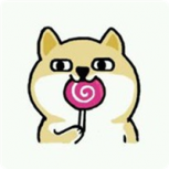 萌狗影视历史版