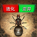 小小蚁国小米版