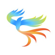 飞风终身会员版