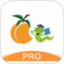 杏林学堂PRO
