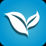 青梅影视国外线路版