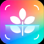 智能识别大师2024版