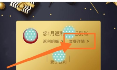 《翼支付》查看套餐详情方法2