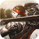 名将无双测试版