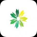 稻壳阅读器极速版