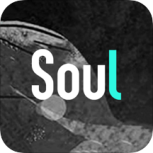 soul(年轻人的社交)