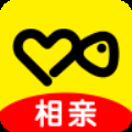 伊对相亲交友单身版