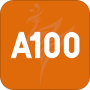 A100教学