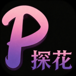 探花视频最新版