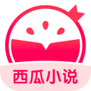 西瓜小说无删减版