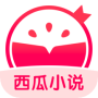 西瓜小说无删减版