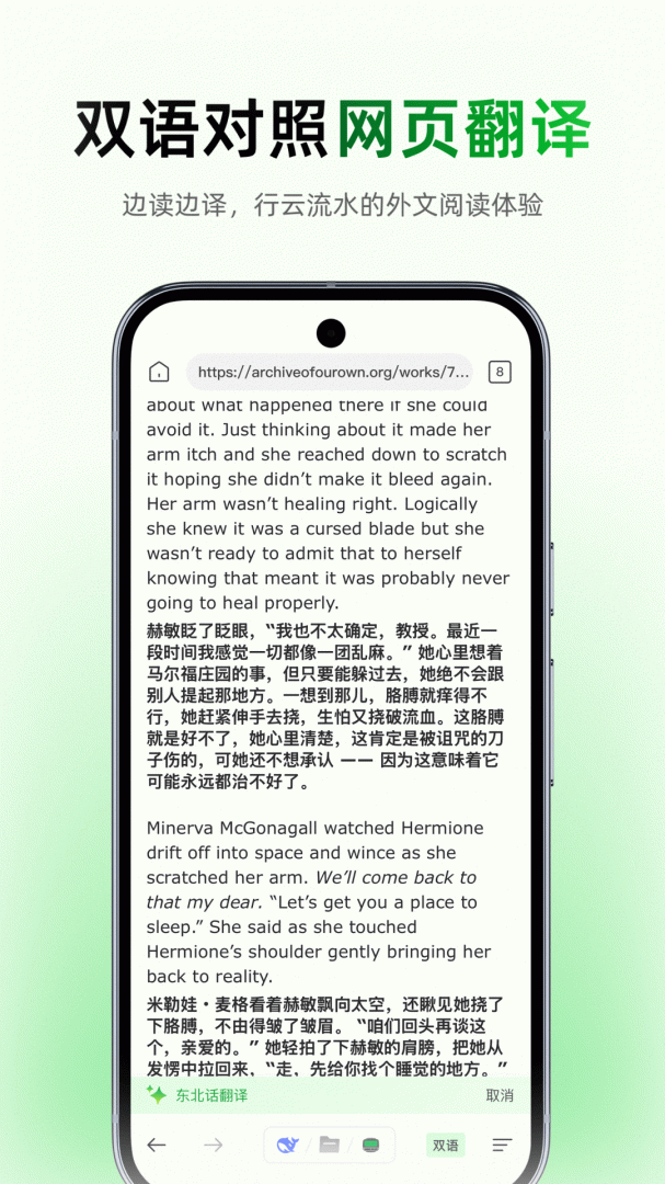 彩云小译2