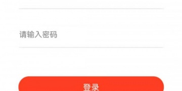 查询咨询类服务APP