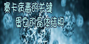 手机科普APP