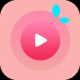 荔枝影视极速版