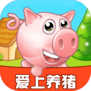 爱上养猪场
