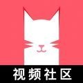 猫咪新区短视频红包版