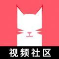 猫咪新区短视频红包版