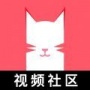 猫咪新区短视频红包版