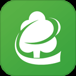 木材码头最新版