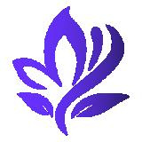 薰衣草短视频免费版