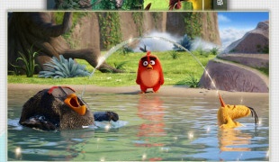 跟爱豆传媒同款的APP