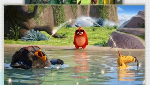 跟爱豆传媒同款的APP