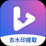 视频去水印提取2024版