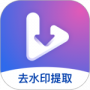 视频去水印提取2024版
