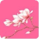 红玫瑰直播深夜版