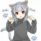 冷狐宝库vip账号分享版