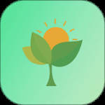 小光芒习惯学院